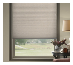 Standard Corded Cellular Shades - Louisville Blinds & Drapery Louisville KY